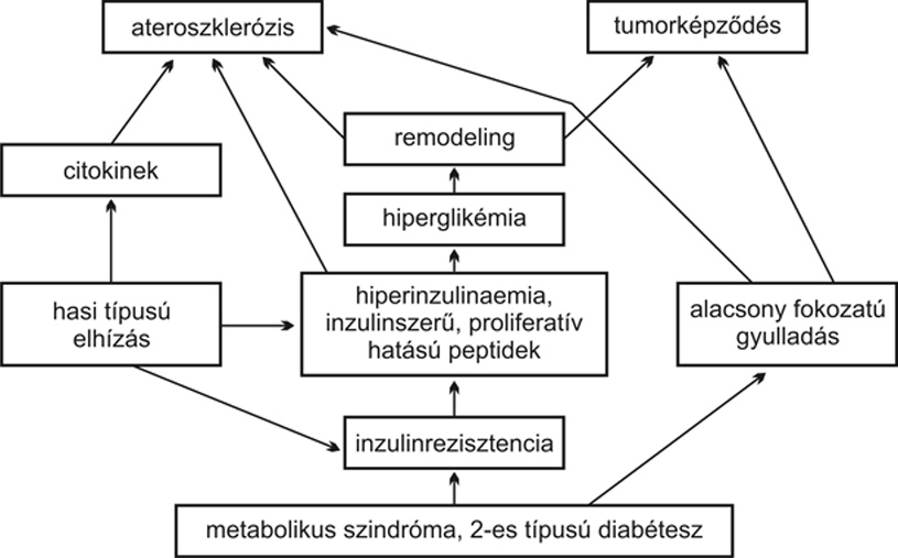 modern 2. típusú cukorbetegség kezelésére diagramok hatékony népi jogorvoslati diabétesz kezelésére szolgáló
